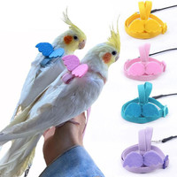 bird harnesses and leashes