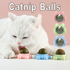 cattoy, Toy, catnipwallball, Cat Bed