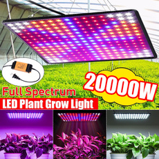 lightsforindoorplant, growinglampindoor, Växter, Indoor