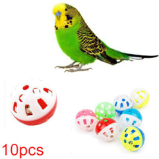 toyball, cattoy, Toy, Parrot