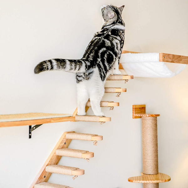 Pet cat hot sale ladder