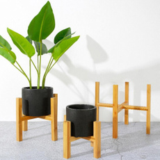 Bonsai, Plants, Garden, Shelf