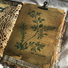 Plants, backgroundpaper, paperpad, handaccount