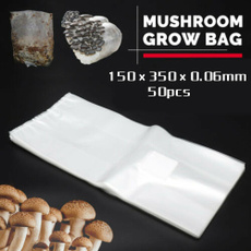 spawn, substrate, Mushroom, temp