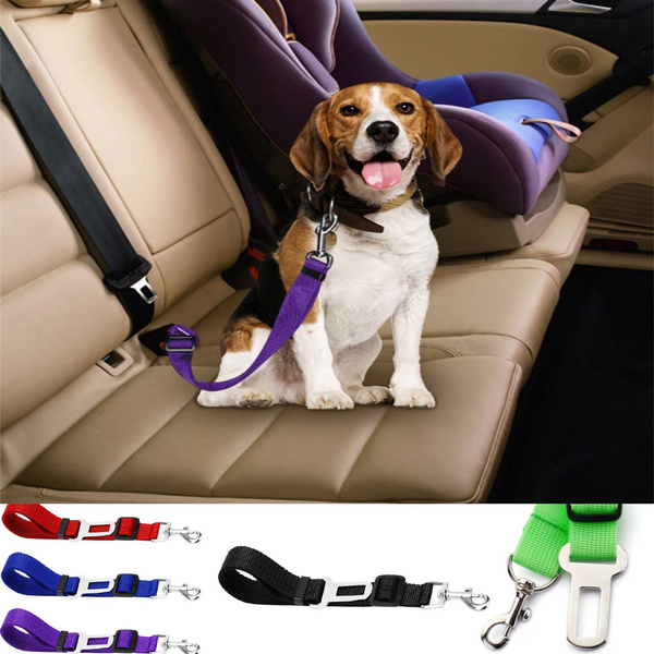 small dog car seat harness