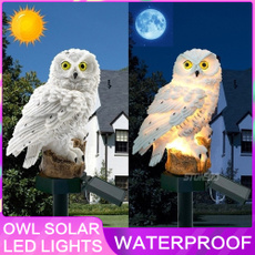 Owl, Decoración del hogar, Waterproof, Glass