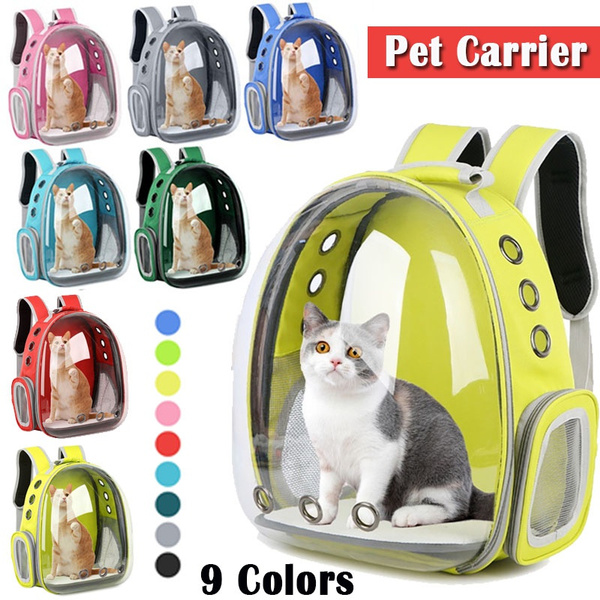 Cat holding outlet backpack