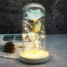 ledhandmaderoselamp, led, Beauty, Glass