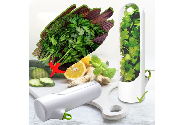 Coriander Containers For Refrigerator, Herb Keeper, Herb Container