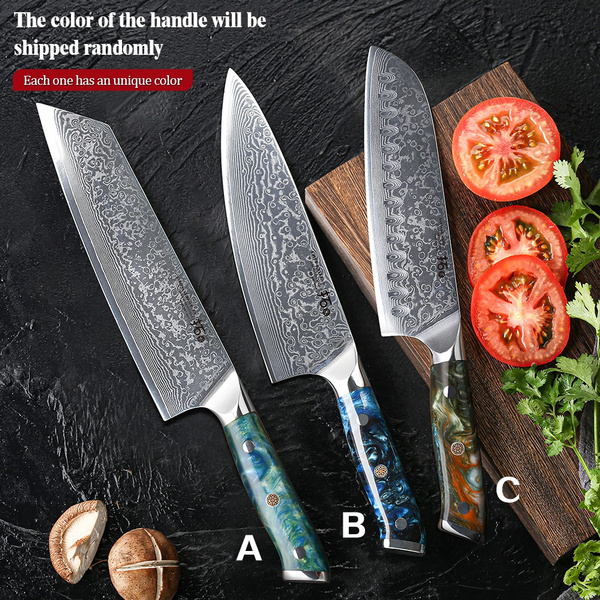 TURWHO Japanese 67-Layer Damascus Steel VG10 Core Kitchen Knife ...