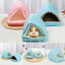 Cotton, Winter, guineapigbed, house