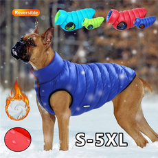 Pet Dog Clothes, Fashion, Outfits, Winter