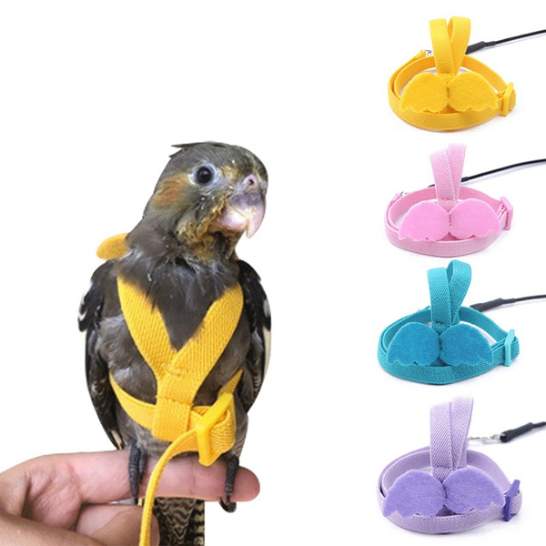 Bird leashes outlet