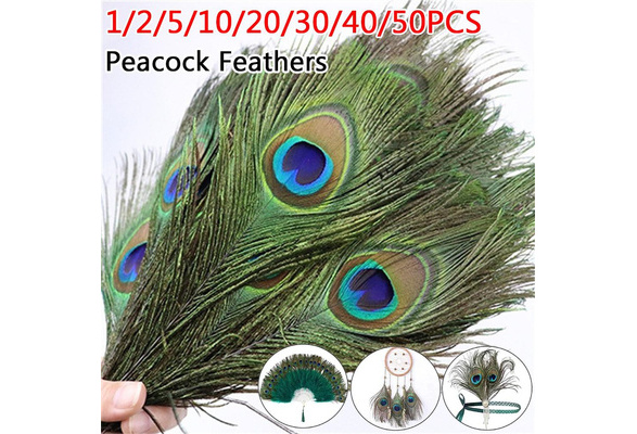 20 Pcs/Top Quality Natural Peacock Feathers For Crafts Party Decoration  25-32CM