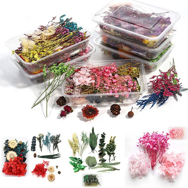 1 Box Real Dried Flower for Epoxy Resin Molds Fillings Nail Art Flower ...