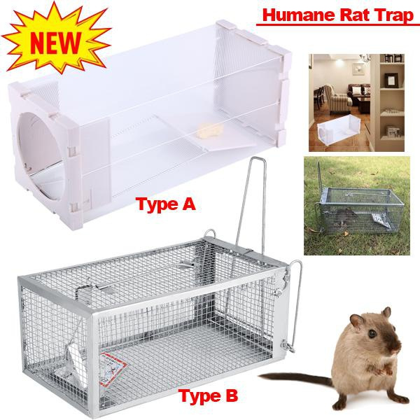 Humane Rat Live Trap Chipmunk Rodent Trap That Work Indoor Outdoor Small  Animal