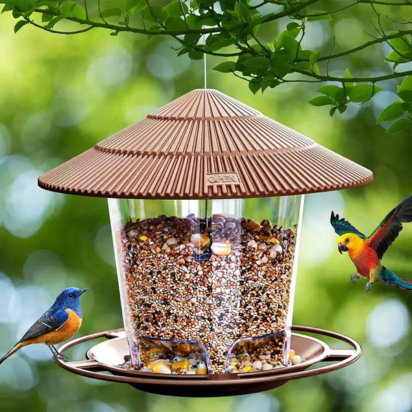 bird feeder wish