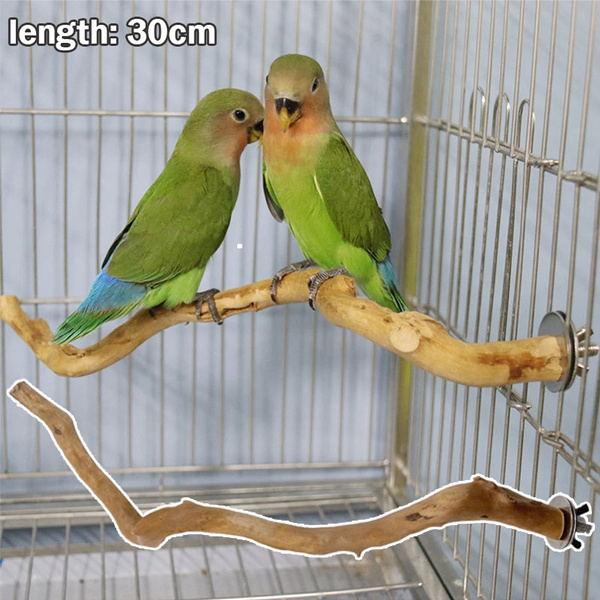 Parrot Standing Wood Stick Bird Cage Perch Cockatiel Parakeet Claw Grinding Toy 