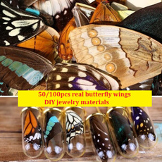 butterfly, Real, Natural, Jewelry