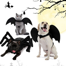 Bat, Medium, Cat costume, spidercostumefordog