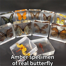 amber, butterfly, Gifts, butterflyspecimen
