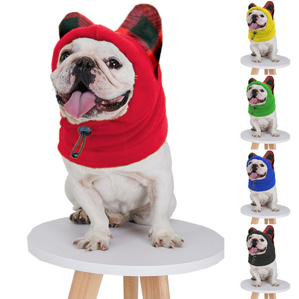 Bat hat for hotsell french bulldog