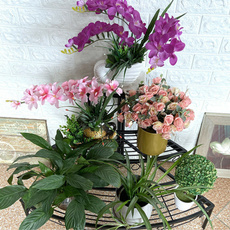 Plants, Flowers, multilayerpottedflowerpotdisplaystand, Garden