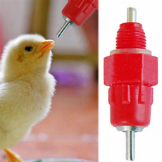 poultry, livestocksupplie, chickendrinker, Business & Industrial
