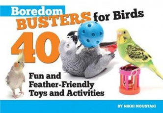 Fun, Toy, Bird