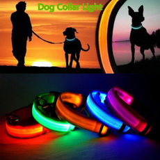 ledcollardog, Dog Collar, dogcollarlight, catcollar