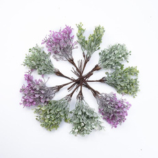 Decorative, Plants, Flowers, Christmas