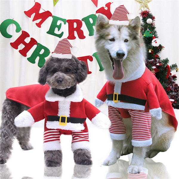 extra large dog christmas outfits