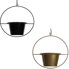 Plants, Modern, Pot, Indoor