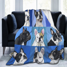 Gifts, Pets, Sofas, Blanket