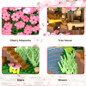 thumbnail - 3