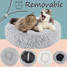 cute, Cat Bed, Pets, fluffy