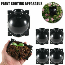 plantrootgraftingbox, case, Plants, plantpropagationball