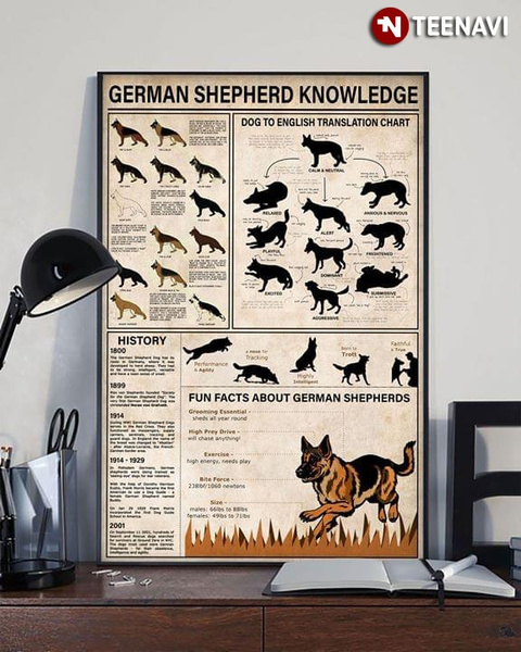 German Shepherd Knowledge Dog To English Translation Chart History Fun ...