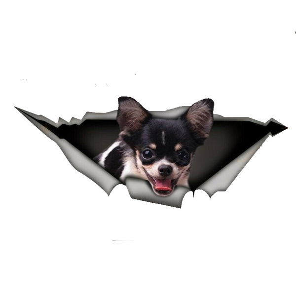 Adesivo 3D Chihuahua Per Auto, Laptop, Frigorifero – Effetto Strappo, Impermeabile, 25 Cm