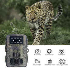 trailcamera, Outdoor, Waterproof, Photography