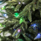 thumbnail - 1