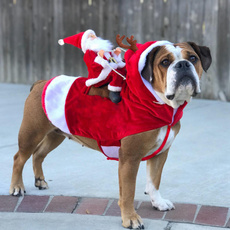 dog coat, Christmas, cutedogsweater, Dress