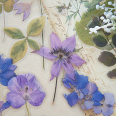 decoration, purpleflowersticker, Flowers, Scrapbooking