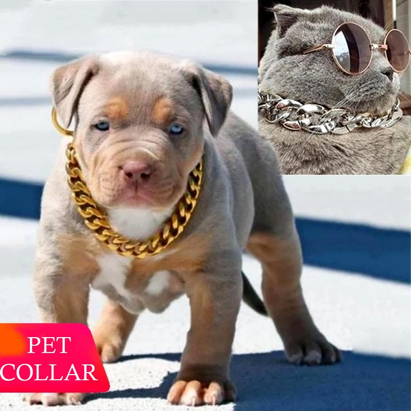 Gold chain sale puppy collar