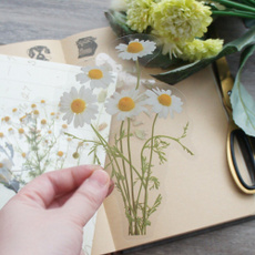 whitedaisyflowersticker, Flowers, Scrapbooking, Gifts