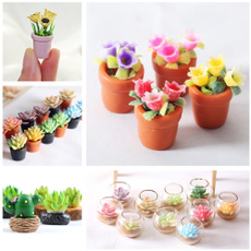 Mini, minisucculent, babaházminiatűrök, succulentplant