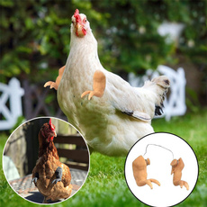 Funny, chickenfrontlimb, Toy, petaccessorie