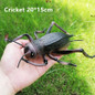 thumbnail - 11
