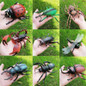 thumbnail - 16