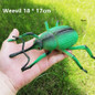 thumbnail - 5